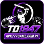 TD1947 Game
