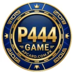 P444 Game