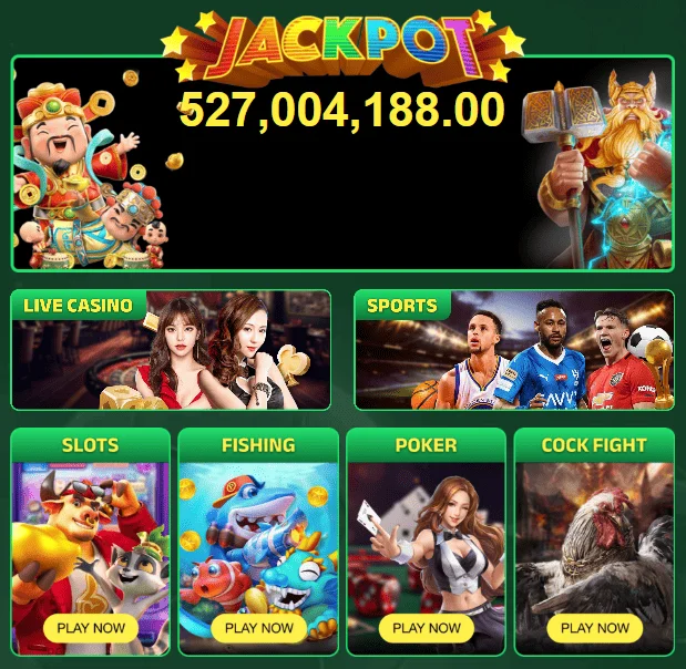 P444 Game