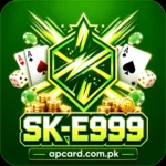 SK E999 Game